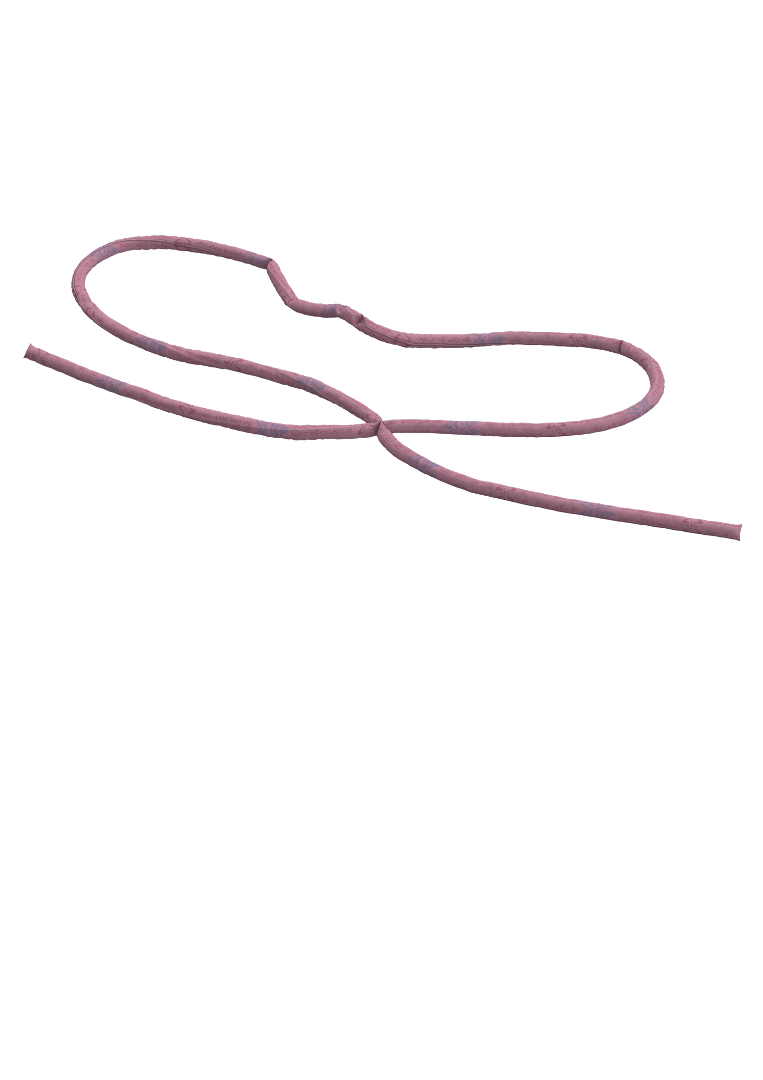belt - shoelace .png